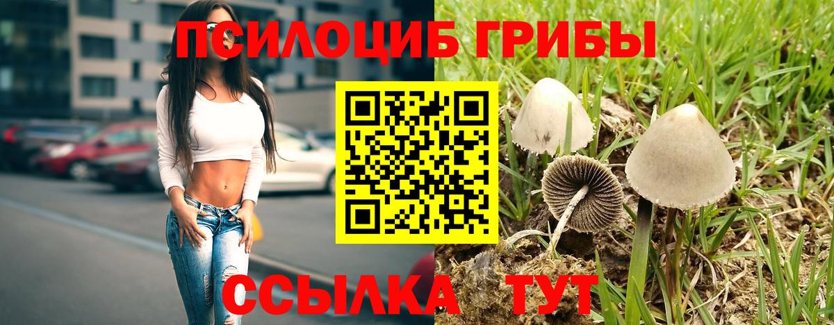 Рыбинск  Галлюциногенные грибы Cubensis  Вход с VPN 